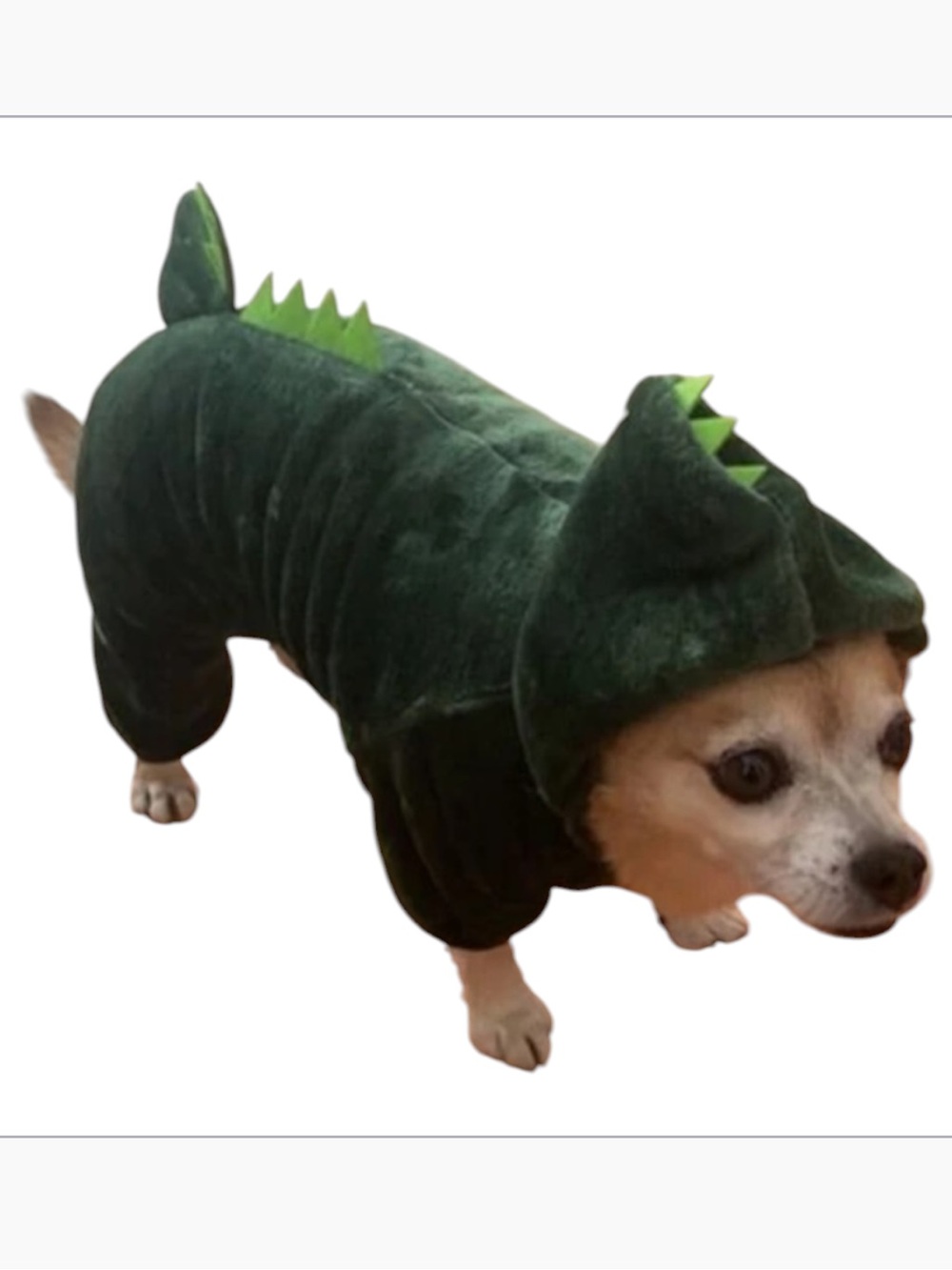 Beautiful Plush Dinosaur Pet  dog , cat Jumpsuit Hooded green size S